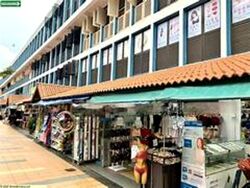 Toa Payoh Central (D12), Shop House #495537001